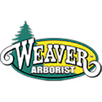 WEAVER ARBORIST