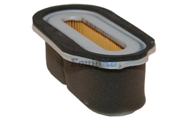 Air Filter w/Foam Wrap