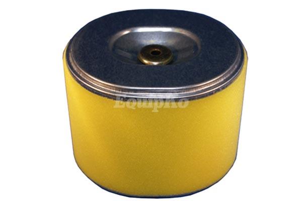 Air Filter w/Pre-Cleaner