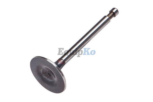 Intake Valve