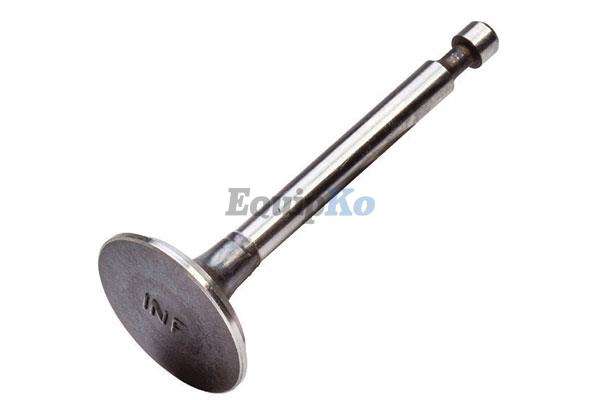 Intake Valve