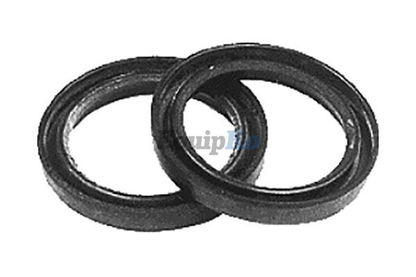 Oil Seal