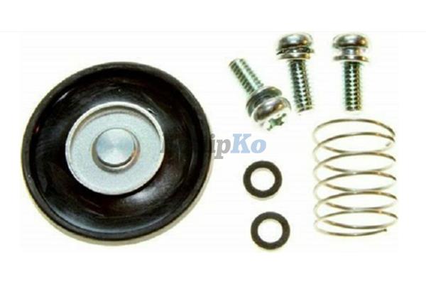 Kit: Repair Accelerator Pump Seal