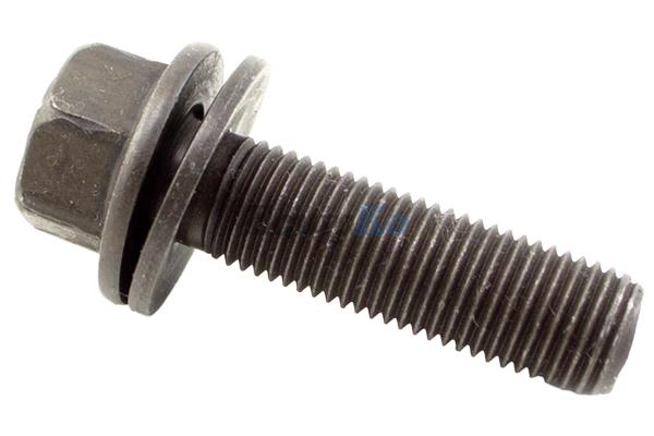 OEM Blade Bolt