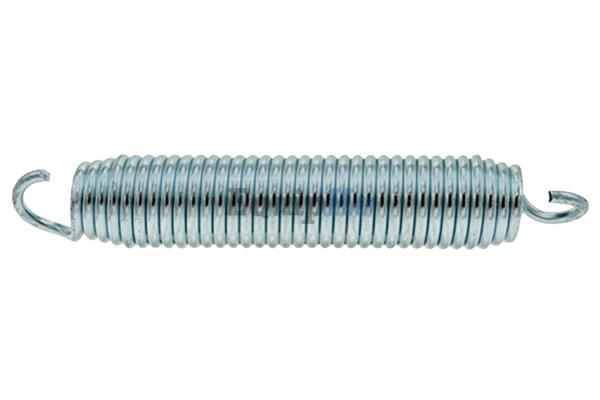 Pump Idler Spring